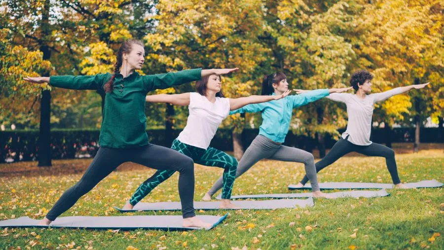 Group outdoor wellness class